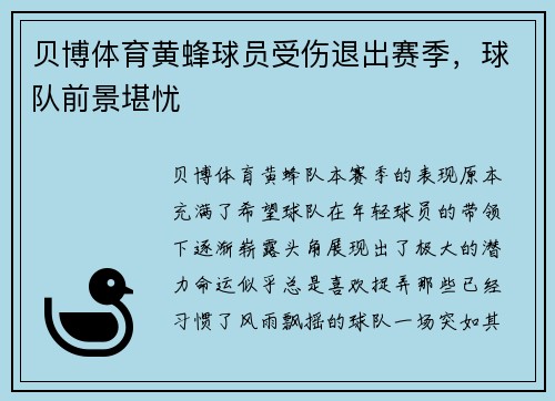 贝博体育黄蜂球员受伤退出赛季，球队前景堪忧